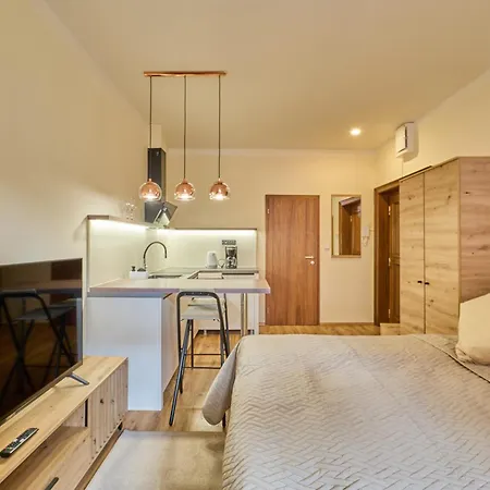 Karlova Twelve Deluxe Apartment *