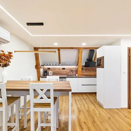 Karlova Twelve Deluxe Apartment *